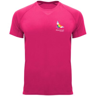 samarreta maestrat lgtbi rosa